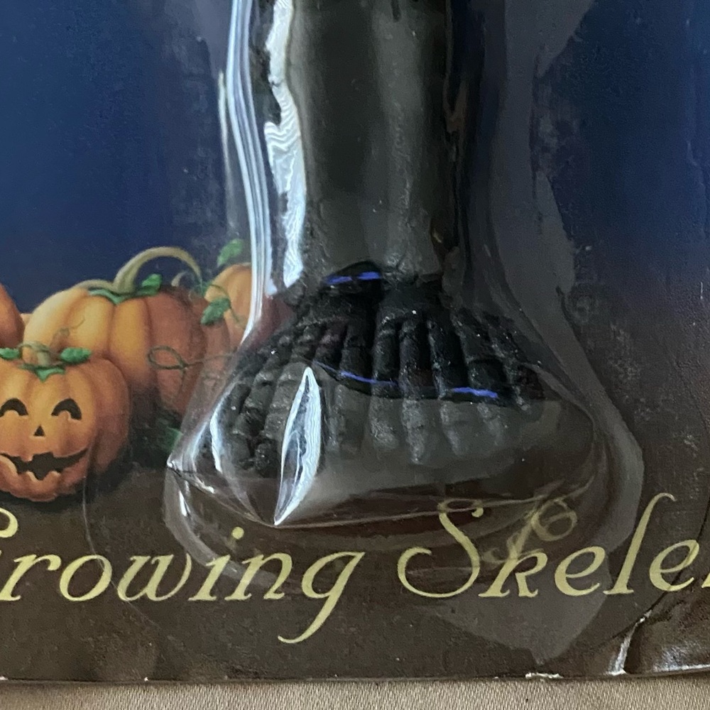 New-Halloween Party Supplies Set with Brain Mold & a Skeleton - Picture 4 of 10